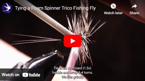 Tying a Foam Spinner Trico Fishing Fly